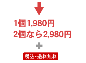 1��1,980�~�A2�Ȃ�2,980�~�i���������j