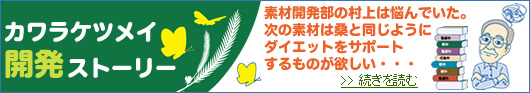 �J�����P�c���C�J���X�g�[���[