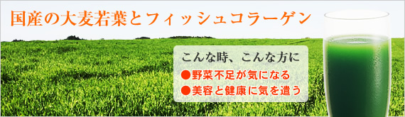 ���Y�̑唞��t�ƃt�B�b�V���R���[�Q��