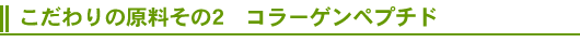 �������̌�������2�@�R���[�Q���y�v�`�h