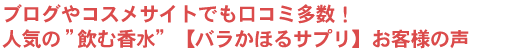 ���q�l�̐�
