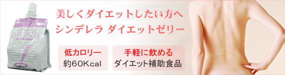 �������_�C�G�b�g���������փV���f���� �_�C�G�b�g�[���[