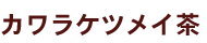 �J�����P�c���C��