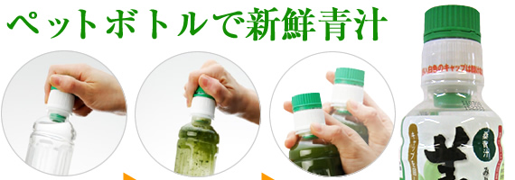 �y�b�g�{�g���ŐV�N�`