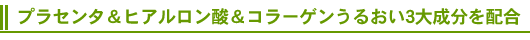 �v���Z���^���q�A�������_���R���[�Q�����邨��3�听����z��