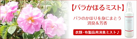 �o�����ق�~�X�g