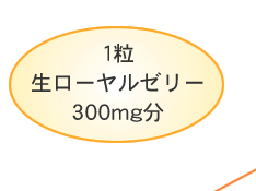 1���@�����[�����[���[300mg��