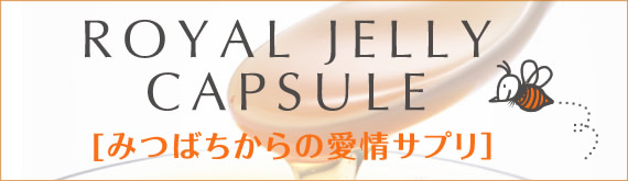 �݂΂�����̈���T�v��