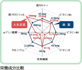 栄養成分比較